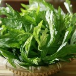 Dân gian trị sẹo lõm như thế nào?