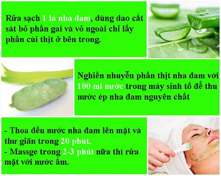 Bạn hãy áp dụng ngay cách chữa trị sẹo mụn bằng nha đam